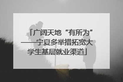 广阔天地“有所为”——宁夏多举措拓宽大学生基层就业渠道