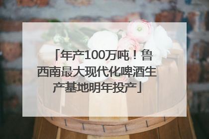 年产100万吨！鲁西南最大现代化啤酒生产基地明年投产