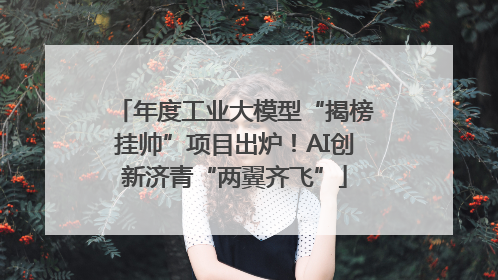 年度工业大模型“揭榜挂帅”项目出炉！AI创新济青“两翼齐飞”