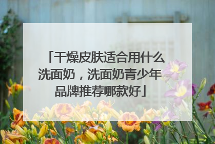 干燥皮肤适合用什么洗面奶，洗面奶青少年品牌推荐哪款好