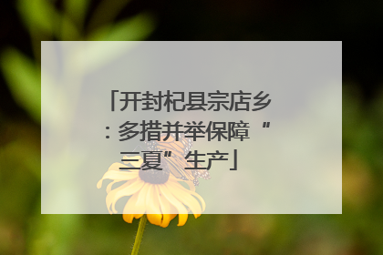 开封杞县宗店乡：多措并举保障“三夏”生产