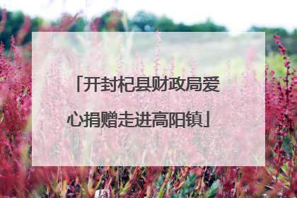 开封杞县财政局爱心捐赠走进高阳镇