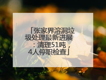 张家界溶洞垃圾处理最新进展：清理51吨，4人停职检查