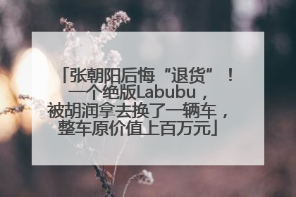 张朝阳后悔“退货”！一个绝版Labubu，被胡润拿去换了一辆车，整车原价值上百万元