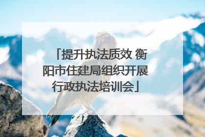 提升执法质效 衡阳市住建局组织开展行政执法培训会