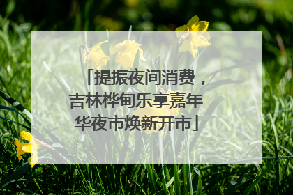 提振夜间消费，吉林桦甸乐享嘉年华夜市焕新开市