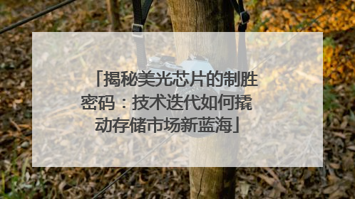 揭秘美光芯片的制胜密码：技术迭代如何撬动存储市场新蓝海