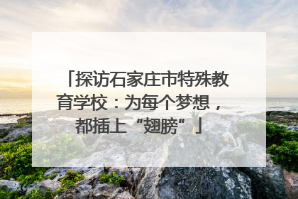 探访石家庄市特殊教育学校：为每个梦想，都插上“翅膀”