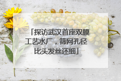 探访武汉首座双膜工艺水厂，筛网孔径比头发丝还细
