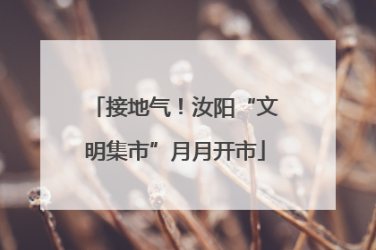 接地气！汝阳“文明集市”月月开市