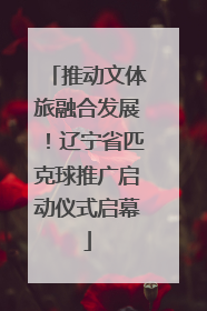 推动文体旅融合发展！辽宁省匹克球推广启动仪式启幕