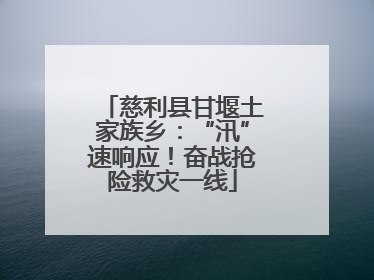 慈利县甘堰土家族乡：“汛”速响应！奋战抢险救灾一线