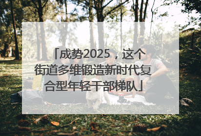 成势2025，这个街道多维锻造新时代复合型年轻干部梯队