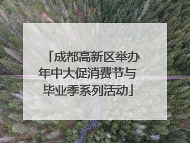 成都高新区举办年中大促消费节与毕业季系列活动