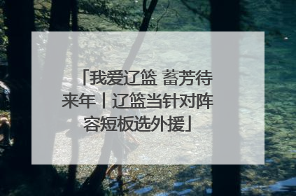 我爱辽篮 蓄芳待来年丨辽篮当针对阵容短板选外援