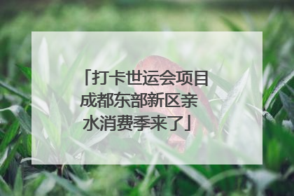 打卡世运会项目 成都东部新区亲水消费季来了