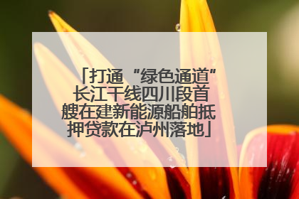 打通“绿色通道” 长江干线四川段首艘在建新能源船舶抵押贷款在泸州落地