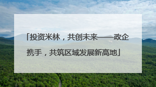 投资米林，共创未来——政企携手，共筑区域发展新高地