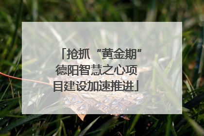 抢抓“黄金期” 德阳智慧之心项目建设加速推进