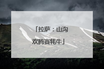 拉萨：山沟欢腾赛牦牛