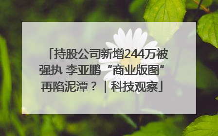 持股公司新增244万被强执 李亚鹏“商业版图”再陷泥潭？｜科技观察