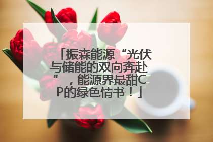 振森能源“光伏与储能的双向奔赴”，能源界最甜CP的绿色情书！