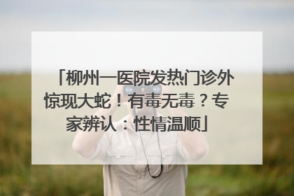 柳州一医院发热门诊外惊现大蛇！有毒无毒？专家辨认：性情温顺