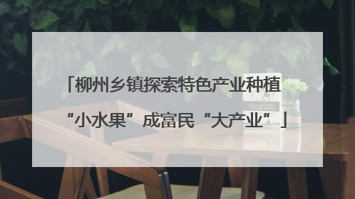 柳州乡镇探索特色产业种植 “小水果”成富民“大产业”