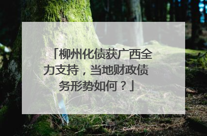 柳州化债获广西全力支持，当地财政债务形势如何？