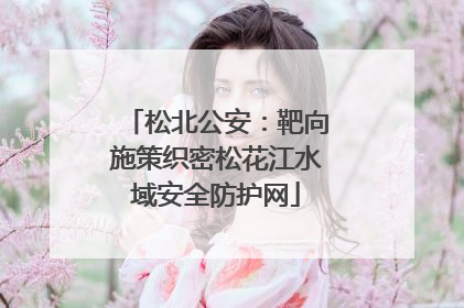 松北公安：靶向施策织密松花江水域安全防护网