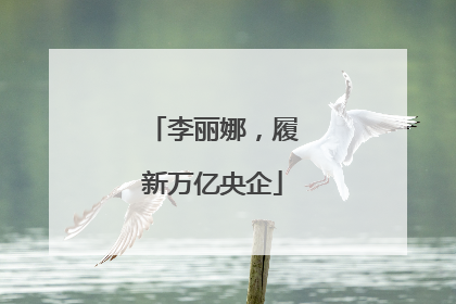 李丽娜，履新万亿央企