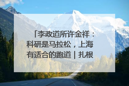 李政道所许金祥：科研是马拉松，上海有适合的跑道｜扎根上海，从0到1