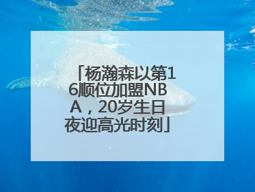 杨瀚森以第16顺位加盟NBA，20岁生日夜迎高光时刻