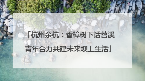 杭州余杭：香樟树下话苕溪 青年合力共建未来坝上生活