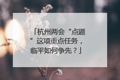 杭州两会“点题”这项重点任务，临平如何争先？