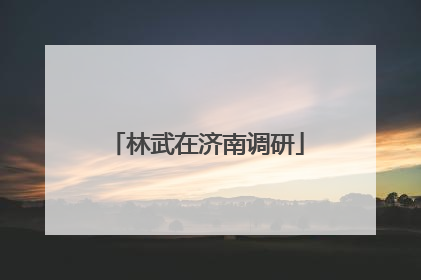 林武在济南调研
