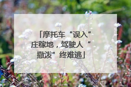 摩托车“误入”庄稼地，驾驶人“撒泼”终难逃