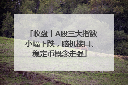 收盘丨A股三大指数小幅下跌，脑机接口、稳定币概念走强