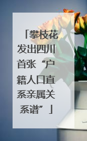 攀枝花发出四川首张“户籍人口直系亲属关系谱”