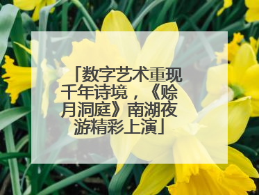 数字艺术重现千年诗境，《赊月洞庭》南湖夜游精彩上演