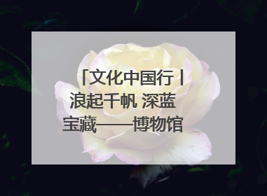 文化中国行丨浪起千帆 深蓝宝藏——博物馆里的海丝遗珍