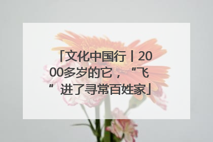 文化中国行丨2000多岁的它，“飞”进了寻常百姓家