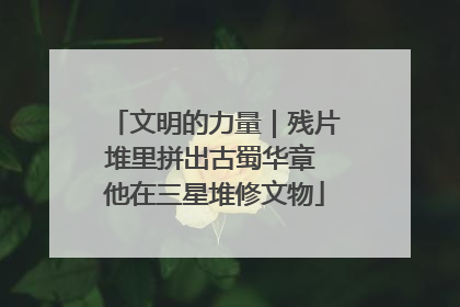 文明的力量｜残片堆里拼出古蜀华章 他在三星堆修文物