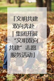 文明共建 双向奔赴｜集团开展“文明双向共建”志愿服务活动