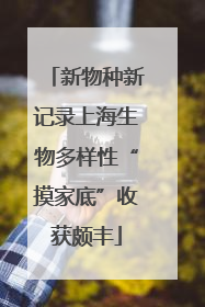 新物种新记录上海生物多样性“摸家底”收获颇丰