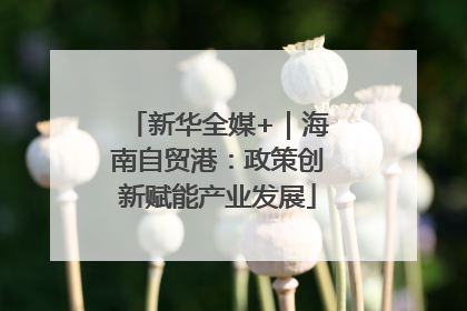 新华全媒+｜海南自贸港：政策创新赋能产业发展