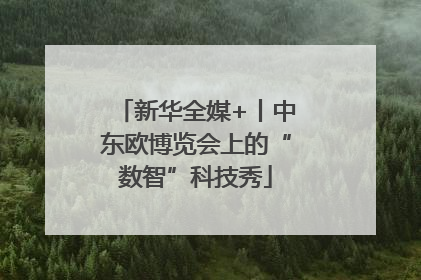 新华全媒+丨中东欧博览会上的“数智”科技秀