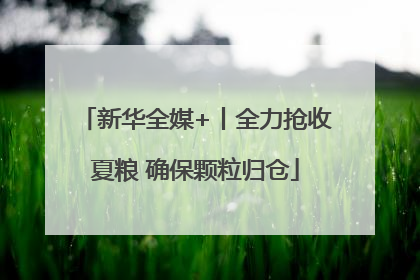 新华全媒+丨全力抢收夏粮 确保颗粒归仓