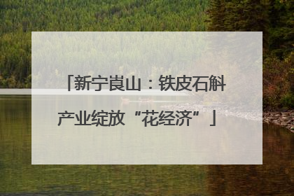 新宁崀山：铁皮石斛产业绽放“花经济”