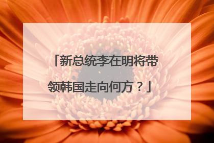新总统李在明将带领韩国走向何方？